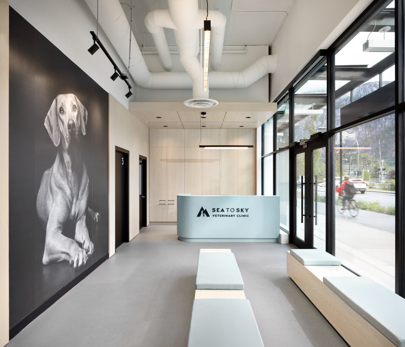 Dossier de presse | 2973-02 - Communiqué de presse | IDIBC Announces 2022 Awards of Excellence Recipients - Interior Designers Institute of British Columbia - Design d’intérieur commercial -  IDIBC Award of Excellence: Josianne Berube RID IDIBC; Sea to Sky Veterinary Clinic, Squamish BC; Workplace Total Category  - Crédit photo :  Tina Kulic 