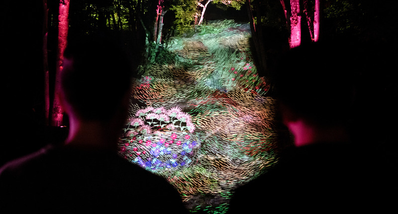 Press kit | 1089-07 - Press release | Onhwa'Lumina - Moment Factory - Event + Exhibition - Photo credit:  <span class=""></span>Moment Factory