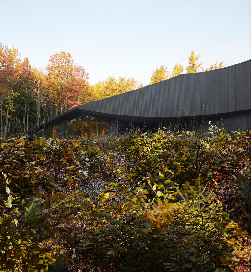 Dossier de presse | 1010-16 - Communiqué de presse | MEV - Studio Jean Verville architectes - Architecture résidentielle - Crédit photo : Maxime Brouillet photographe