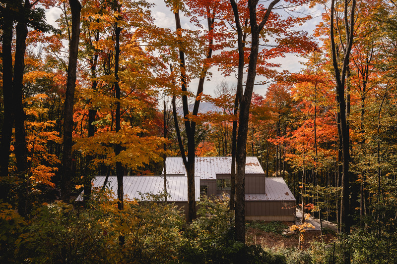 Dossier de presse | 1678-05 - Communiqué de presse | Résidence Shefford - Atelier BOOM-TOWN - Architecture résidentielle - Crédit photo : Raphaël Thibodeau