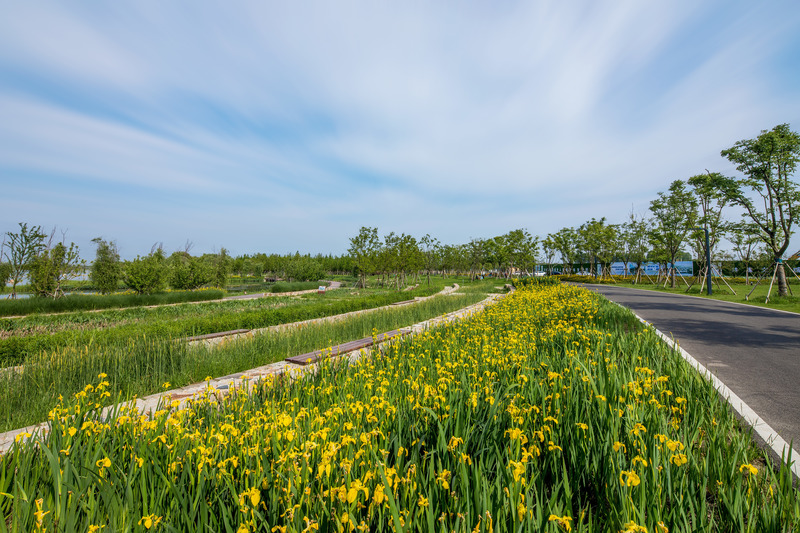 Press kit | 6580-01 - Press release | Suzhou Huanyuandang Ecological Restoration and Shoreline Linkage Project - Tus-Design Group Co.,Ltd - Landscape Architecture -  Sponge city setting  - Photo credit: <p class="">Tus-Design Group Co.,Ltd</p>