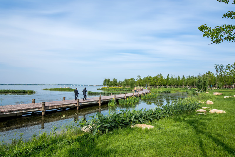 Press kit | 6580-01 - Press release | Suzhou Huanyuandang Ecological Restoration and Shoreline Linkage Project - Tus-Design Group Co.,Ltd - Landscape Architecture -  Waterfront walkway - Photo credit: <p class="">Tus-Design Group Co.,Ltd</p>