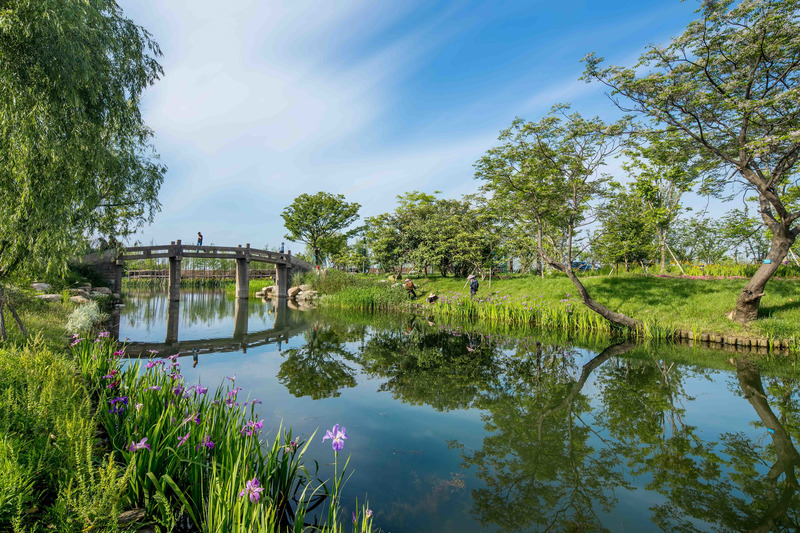 Press kit | 6580-01 - Press release | Suzhou Huanyuandang Ecological Restoration and Shoreline Linkage Project - Tus-Design Group Co.,Ltd - Landscape Architecture - Bridge restoration - Photo credit: <p class="">Tus-Design Group Co.,Ltd</p>