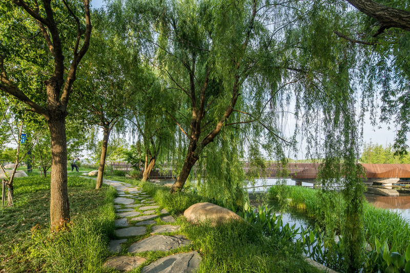 Press kit | 6580-01 - Press release | Suzhou Huanyuandang Ecological Restoration and Shoreline Linkage Project - Tus-Design Group Co.,Ltd - Landscape Architecture - Ecological pavement - Photo credit: <p class="">Tus-Design Group Co.,Ltd</p>