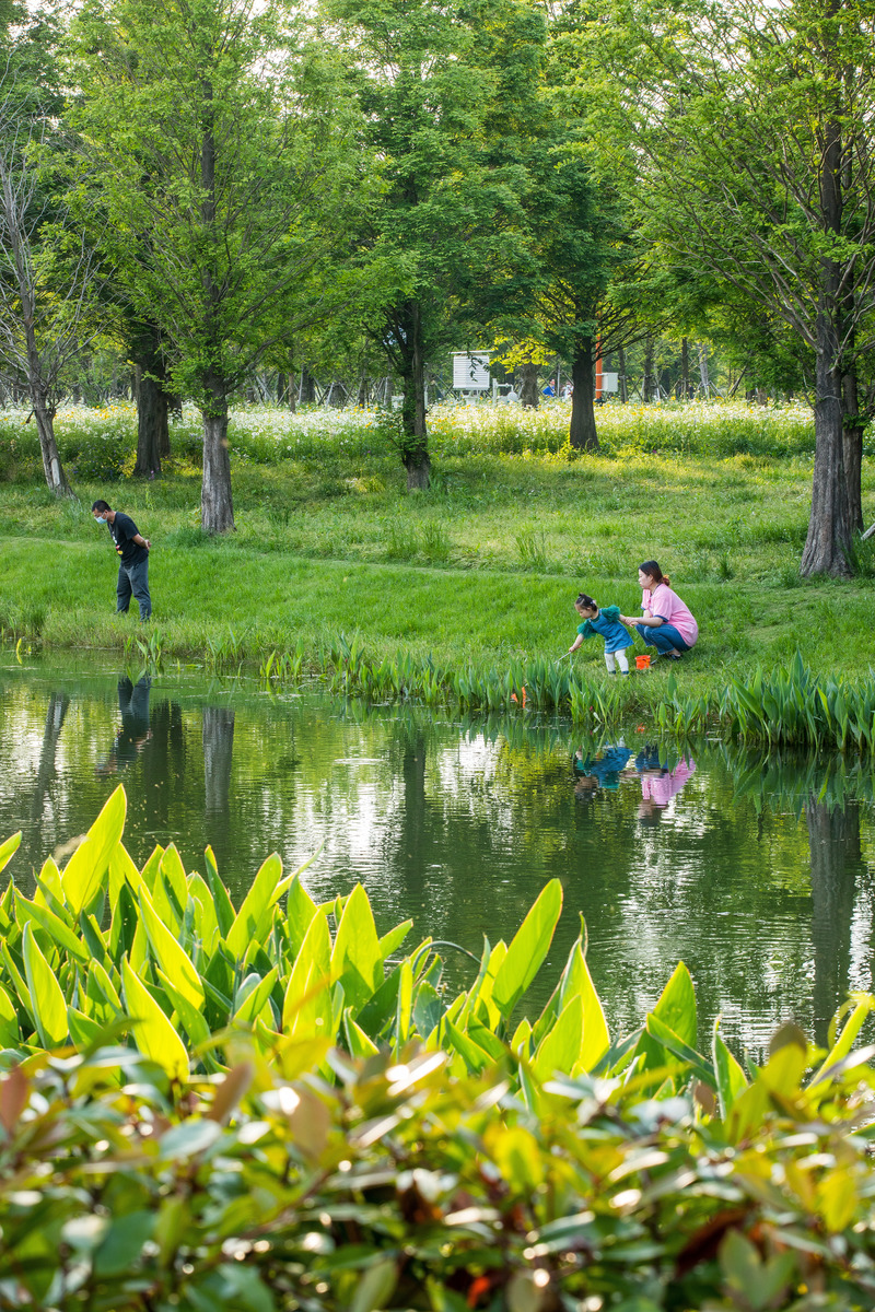 Press kit | 6580-01 - Press release | Suzhou Huanyuandang Ecological Restoration and Shoreline Linkage Project - Tus-Design Group Co.,Ltd - Landscape Architecture - Waterside - Photo credit: <p class="">Tus-Design Group Co.,Ltd</p>