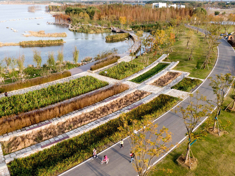 Press kit | 6580-01 - Press release | Suzhou Huanyuandang Ecological Restoration and Shoreline Linkage Project - Tus-Design Group Co.,Ltd - Landscape Architecture - Aerial view-plants - Photo credit: <p class="">Tus-Design Group Co.,Ltd</p>