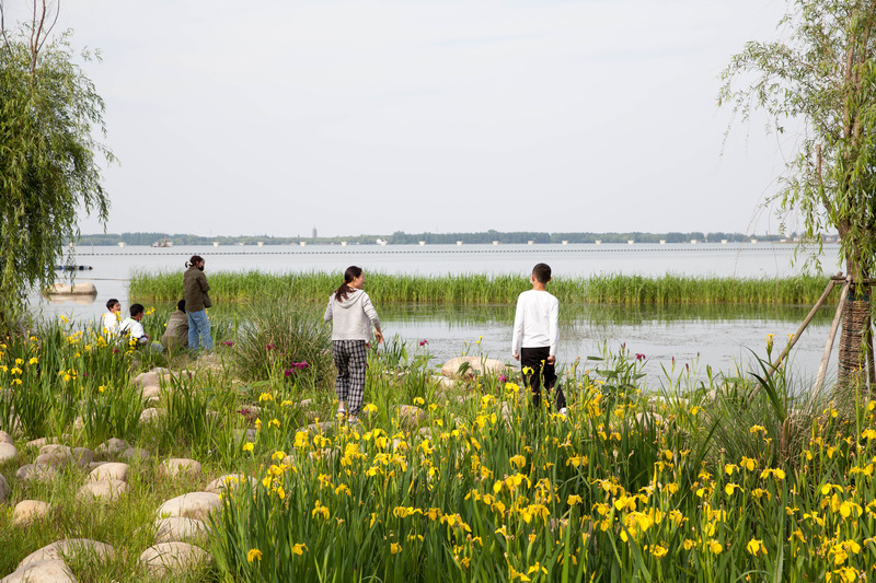 Press kit | 6580-01 - Press release | Suzhou Huanyuandang Ecological Restoration and Shoreline Linkage Project - Tus-Design Group Co.,Ltd - Landscape Architecture - Waterfront revetment - Photo credit: <p class="">Tus-Design Group Co.,Ltd</p>