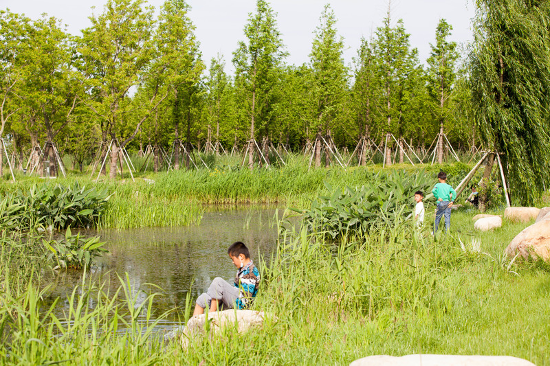 Press kit | 6580-01 - Press release | Suzhou Huanyuandang Ecological Restoration and Shoreline Linkage Project - Tus-Design Group Co.,Ltd - Landscape Architecture - Water space - Photo credit: <p class="">Tus-Design Group Co.,Ltd</p>