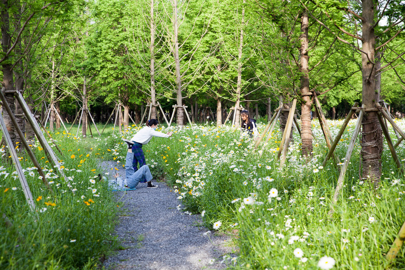 Press kit | 6580-01 - Press release | Suzhou Huanyuandang Ecological Restoration and Shoreline Linkage Project - Tus-Design Group Co.,Ltd - Landscape Architecture - Feeling cozy in forest - Photo credit: <p class="">Tus-Design Group Co.,Ltd</p>