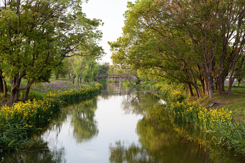 Press kit | 6580-01 - Press release | Suzhou Huanyuandang Ecological Restoration and Shoreline Linkage Project - Tus-Design Group Co.,Ltd - Landscape Architecture - Ecological revetment - Photo credit: <p class="">Tus-Design Group Co.,Ltd</p>