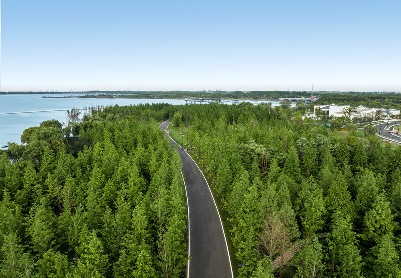 Press kit | 6580-01 - Press release | Suzhou Huanyuandang Ecological Restoration and Shoreline Linkage Project - Tus-Design Group Co.,Ltd - Landscape Architecture -  Aerial view-walking path in forest - Photo credit: <p class="">Tus-Design Group Co.,Ltd</p>