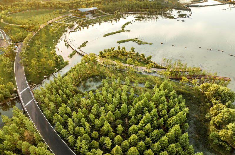 Press kit | 6580-01 - Press release | Suzhou Huanyuandang Ecological Restoration and Shoreline Linkage Project - Tus-Design Group Co.,Ltd - Landscape Architecture - Aerial view-plants - Photo credit: <p class="">Tus-Design Group Co.,Ltd</p>