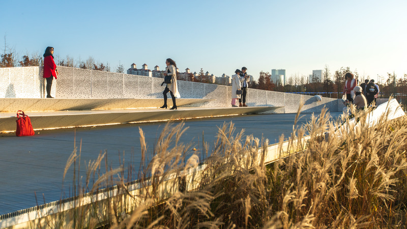 Dossier de presse | 2696-03 - Communiqué de presse | A Floating Forest: Fish Tail Park in Nanchang City - Turenscape - Architecture de paysage - <p>One of the platforms floating over water, built in a contemporary style with perforated aluminum plate, which creates an arresting contrast with the “messy” natural surroundings.</p> <span></span>  - Crédit photo : Turenscape