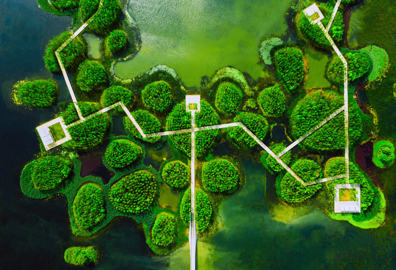 Dossier de presse | 2696-03 - Communiqué de presse | A Floating Forest: Fish Tail Park in Nanchang City - Turenscape - Architecture de paysage - <p>Inspired by the ancient concept of farming atop marshes, and Chinampa-style floating gardens, the coal ash dumped on the site was recycled and mixed with fill from the fish pond dykes to create a lake with numerous islets.</p> - Crédit photo : Turenscape