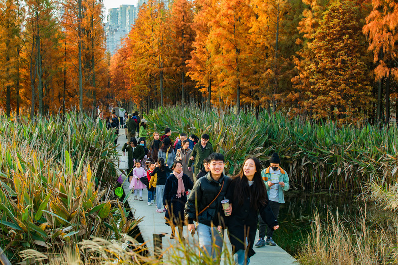 Dossier de presse | 2696-03 - Communiqué de presse | A Floating Forest: Fish Tail Park in Nanchang City - Turenscape - Architecture de paysage - <p>Visitors of all ages have embraced the opportunity for a new kind of immersive natural experience. The boardwalk and platforms are made of prefabricated concrete detached from ground so they can be easily washed clean after being submerged during flooding.</p> - Crédit photo : Turenscape