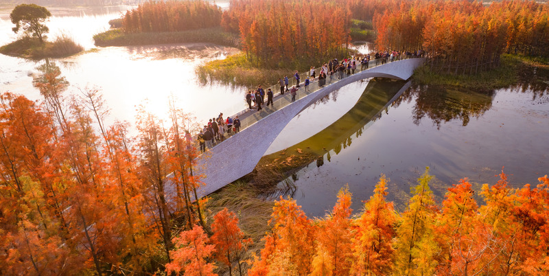 Dossier de presse | 2696-03 - Communiqué de presse | A Floating Forest: Fish Tail Park in Nanchang City - Turenscape - Architecture de paysage - <p>Bridges, platforms, pavilions and viewing towers are carefully positioned to provide attractive focal points. Their contemporary design helps the park bring a modern taste and sense of progress to the ancient city.</p> - Crédit photo : Turenscape