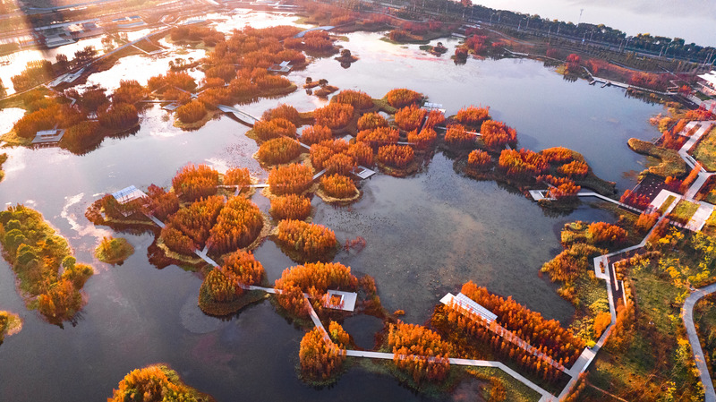 Dossier de presse | 2696-03 - Communiqué de presse | A Floating Forest: Fish Tail Park in Nanchang City - Turenscape - Architecture de paysage - <p>A bike route and service road follow the park’s periphery. The waterfront at the periphery of the park, meanwhile, is designed to accommodate 20-year floods and provide a zone that can meet the recreational needs of the local population, and includes natural playgrounds, beaches, fountains and lawns. </p> - Crédit photo : Turenscape