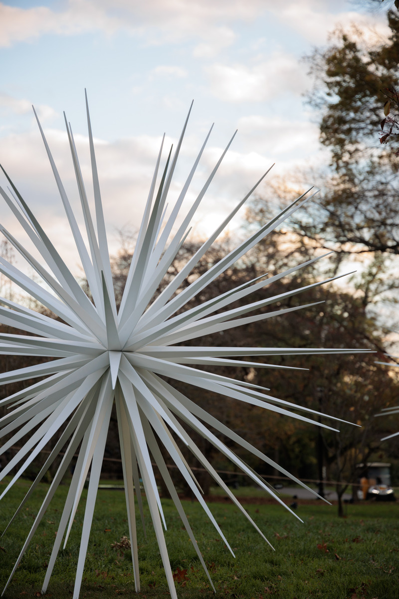 Dossier de presse | 6713-01 - Communiqué de presse | Windseeds by Norman Mooney_Brooklyn Botanic Garden - Norman Mooney Art - Art - Crédit photo : Alexander Barreto