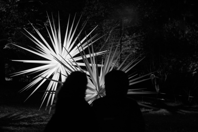 Dossier de presse | 6713-01 - Communiqué de presse | Windseeds by Norman Mooney_Brooklyn Botanic Garden - Norman Mooney Art - Art - Crédit photo : Alexander Barreto