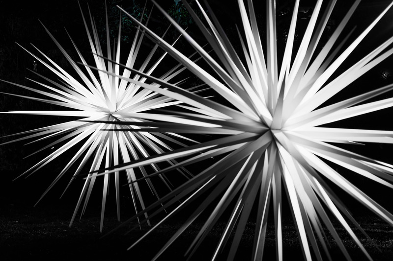 Dossier de presse | 6713-01 - Communiqué de presse | Windseeds by Norman Mooney_Brooklyn Botanic Garden - Norman Mooney Art - Art - Crédit photo : Alexander Barreto