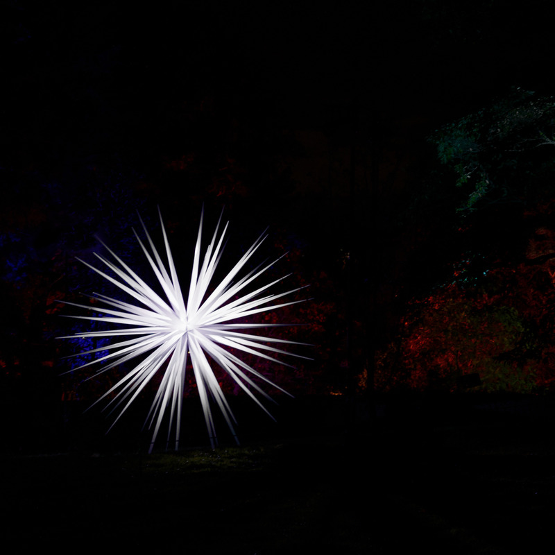 Dossier de presse | 6713-01 - Communiqué de presse | Windseeds by Norman Mooney_Brooklyn Botanic Garden - Norman Mooney Art - Art - Crédit photo : Alexander Barreto