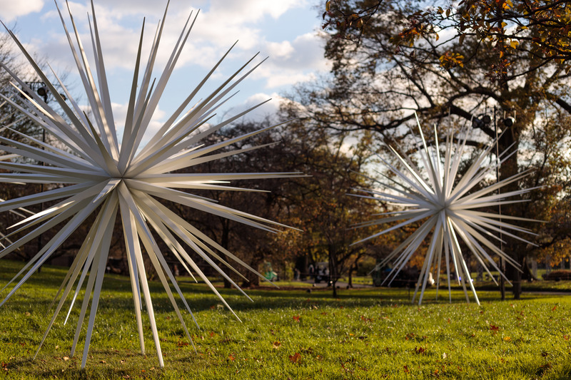 Dossier de presse | 6713-01 - Communiqué de presse | Windseeds by Norman Mooney_Brooklyn Botanic Garden - Norman Mooney Art - Art - Crédit photo : Alexander Barreto