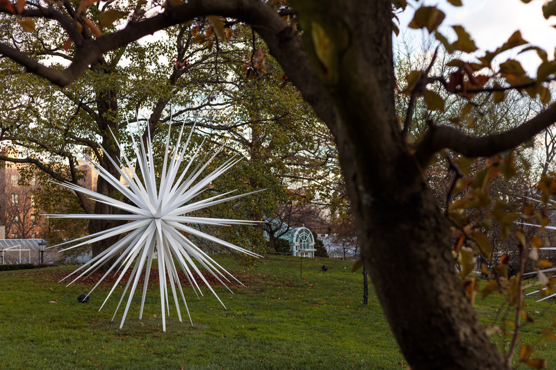 Dossier de presse | 6713-01 - Communiqué de presse | Windseeds by Norman Mooney_Brooklyn Botanic Garden - Norman Mooney Art - Art - Crédit photo : Alexander Barreto