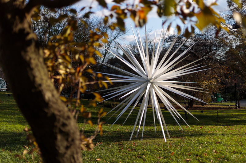 Dossier de presse | 6713-01 - Communiqué de presse | Windseeds by Norman Mooney_Brooklyn Botanic Garden - Norman Mooney Art - Art - Crédit photo : Alexander Barreto