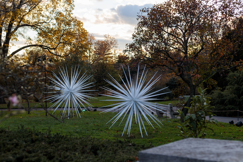 Dossier de presse | 6713-01 - Communiqué de presse | Windseeds by Norman Mooney_Brooklyn Botanic Garden - Norman Mooney Art - Art - Crédit photo : Alexander Barreto