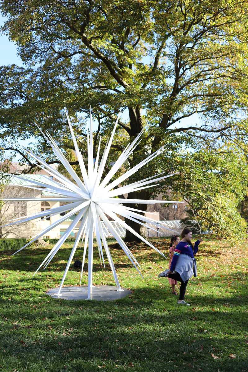 Dossier de presse | 6713-01 - Communiqué de presse | Windseeds by Norman Mooney_Brooklyn Botanic Garden - Norman Mooney Art - Art - Crédit photo : Haoming Li