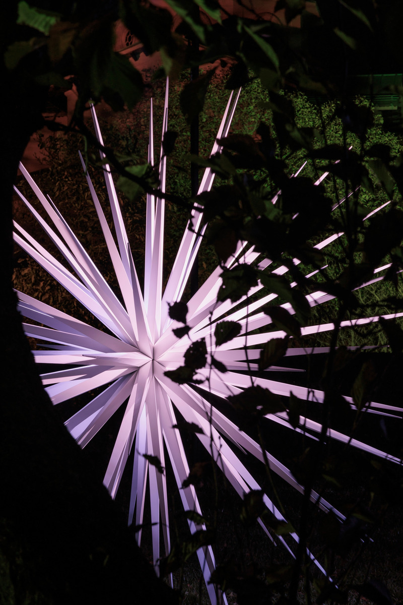 Dossier de presse | 6713-01 - Communiqué de presse | Windseeds by Norman Mooney_Brooklyn Botanic Garden - Norman Mooney Art - Art - Crédit photo : Alexander Barreto