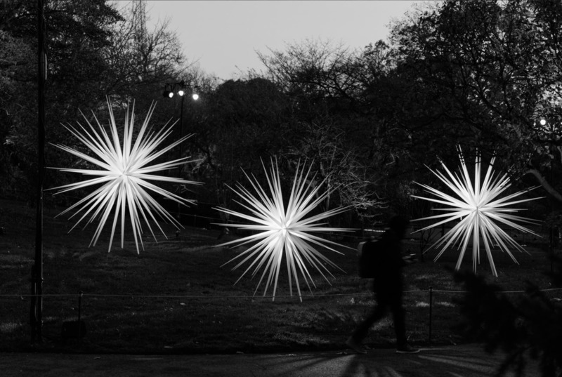 Dossier de presse | 6713-01 - Communiqué de presse | Windseeds by Norman Mooney_Brooklyn Botanic Garden - Norman Mooney Art - Art - Crédit photo : Alexander Barreto