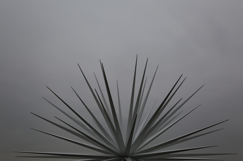 Dossier de presse | 6713-02 - Communiqué de presse | Norman Mooney Presents Butterfly Effect and Windseeds at Nanhai Field Art, Foshan, China - Norman Mooney Art - Art - Crédit photo : GNP &amp; FROOTS Gallery