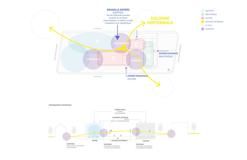 Press kit | 1057-13 - Press release | Rosemont Aquatic Center - Poirier Fontaine Architectes Inc. in collaboration with Riopel + associés architectes and KANVA - Institutional Architecture - Conceptual drawing - Photo credit: Architecture team