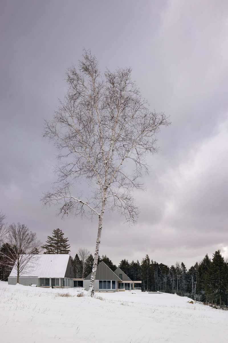 Dossier de presse | 3303-03 - Communiqué de presse | Les Trois Sommets - NÓS - Architecture résidentielle - Crédit photo : Eric Petschek<h3><br></h3>