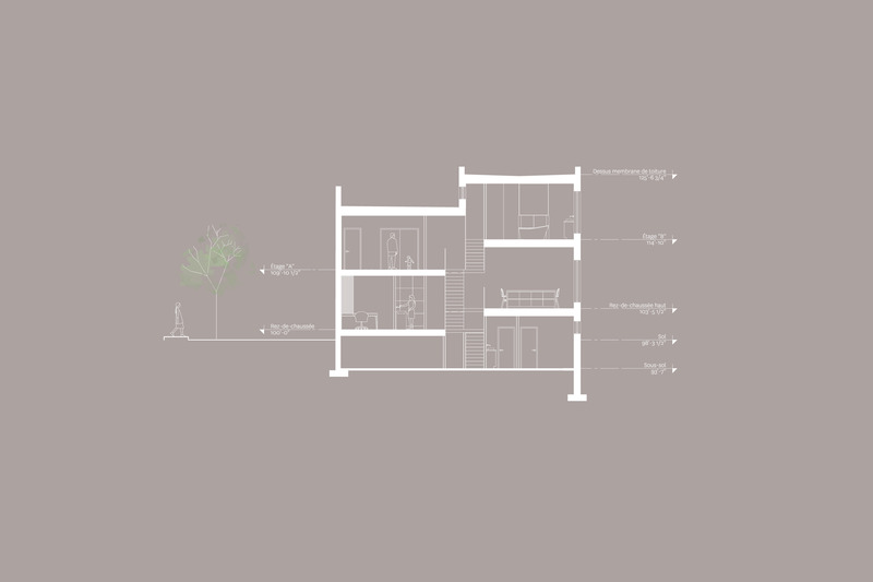 Dossier de presse | 1215-13 - Communiqué de presse | La résidence St-Gérard - ISSASTUDIO - Design d’intérieur résidentiel - Coupe transversale  - Crédit photo : Issadesign