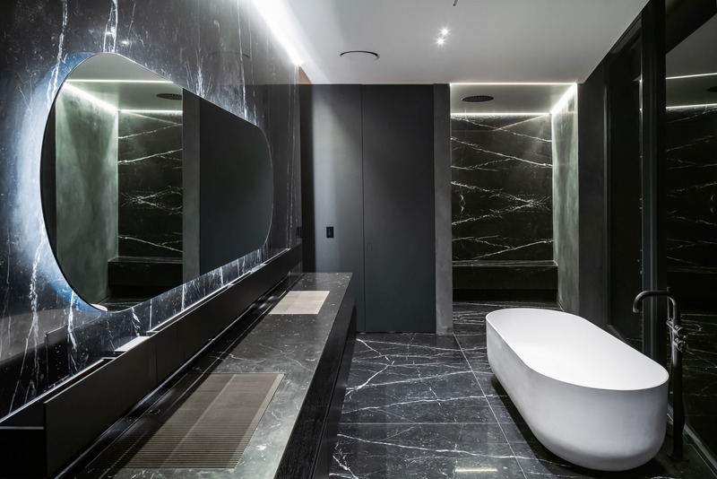 Press kit | 2244-04 - Press release | RO54 - Arshia Architects - Residential Architecture - Master Bathroom - Photo credit: Paul Vu