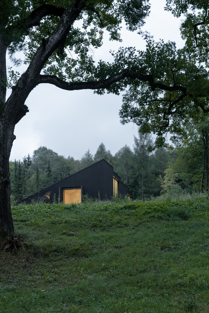 Dossier de presse | 6863-01 - Communiqué de presse | Wooden House by the Lake - Appels Architekten - Architecture résidentielle - <p>Hidden on a plateau above the lake, nested inbetween old trees.</p> - Crédit photo : © Florian Holzherr