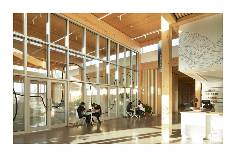 Press kit | 774-17 - Press release | 2023 Prix d’excellence en architecture: Winners unveiled - Ordre des architectes du Québec - Institutional Architecture - <p class="">Conception : Atelier Pierre Thibault</p><p class="">Client : Collège Durocher Saint-Lambert</p>Emplacement : Saint-Lambert, Montérégie<span></span> - Photo credit: <p class="">Maxime Brouillet</p>