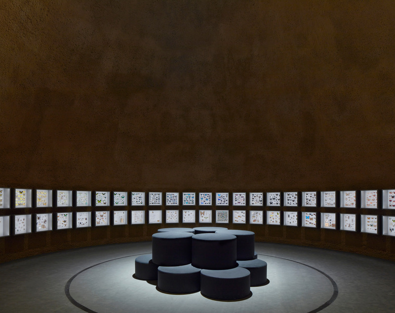 Dossier de presse | 2275-03 - Communiqué de presse | Jodoin Lamarre Pratte architectes : 65 années d’architecture pour la collectivité - Jodoin Lamarre Pratte architectes - Architecture institutionnelle -  Dôme et collection de spécimens naturalisés, Métamorphose de l’Insectarium de Montréal — Kuehn Malvezzi + Pelletier De Fontenay + Jodoin Lamarre Pratte architectes en consortium  - Crédit photo :  James Brittain<br> 