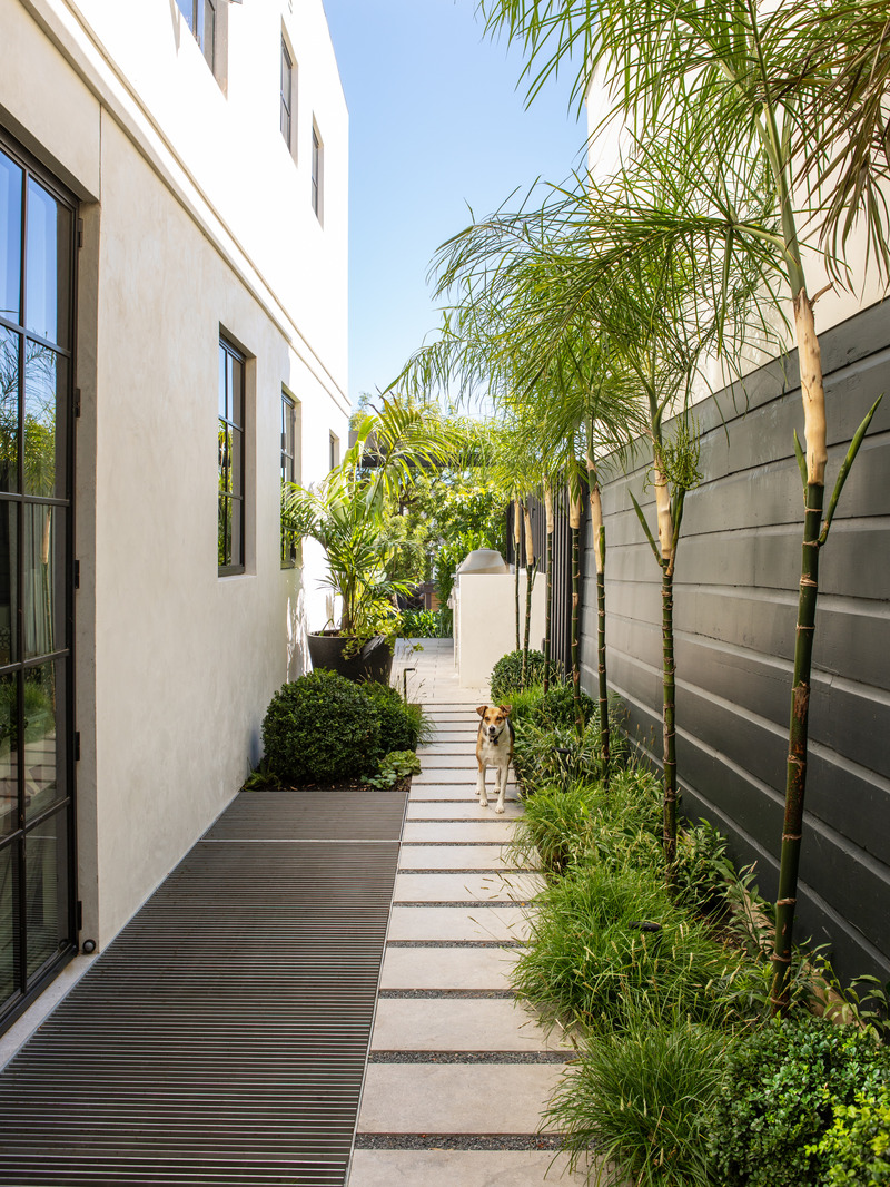 Press kit | 2757-35 - Press release | Medium Plenty Gives a Sprawling Update to a Once Modest 1920s Spanish Revival Home - Medium Plenty - Residential Interior Design - Landscaping firm Terremoto created a seamless garden design that integrates effortlessly into the property.   - Photo credit:   Laure Joliet Photography  