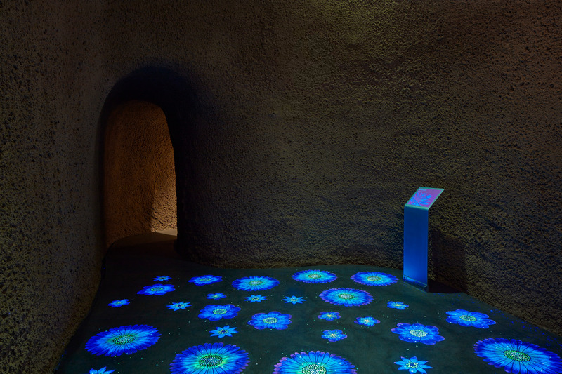 Press kit | 2275-04 - Press release | Metamorphosis of the Montréal Insectarium - Kuehn Malvezzi + Pelletier de Fontenay + Jodoin Lamarre Pratte architectes - Institutional Architecture - Metamorphosis of the Montréal Insectarium — Alcove "The world in UV" - Photo credit: James Brittain — Kuehn Malvezzi / Pelletier de Fontenay / Jodoin Lamarre Pratte architectes in consortium