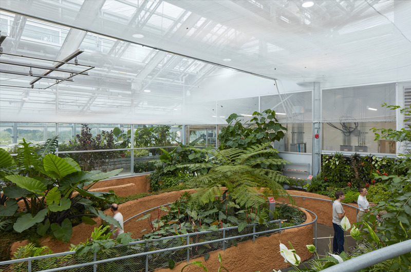 Press kit | 2275-04 - Press release | Metamorphosis of the Montréal Insectarium - Kuehn Malvezzi + Pelletier de Fontenay + Jodoin Lamarre Pratte architectes - Institutional Architecture - <p class="">Metamorphosis of the Montréal Insectarium — Grand Vivarium with view on the plant production </p> - Photo credit: James Brittain — Kuehn Malvezzi / Pelletier de Fontenay / Jodoin Lamarre Pratte architectes in consortium