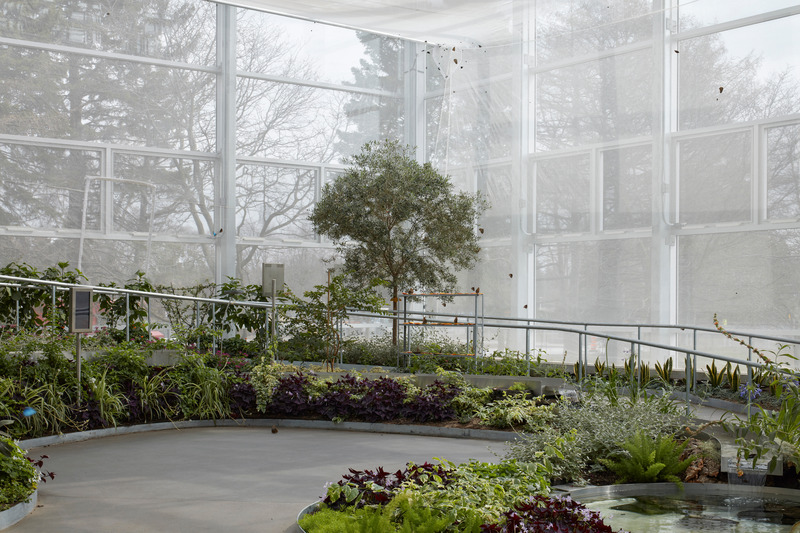 Press kit | 2275-04 - Press release | Metamorphosis of the Montréal Insectarium - Kuehn Malvezzi + Pelletier de Fontenay + Jodoin Lamarre Pratte architectes - Institutional Architecture - <p class="">Metamorphosis of the Montréal Insectarium — Grand Vivarium with free-living insects</p> - Photo credit: James Brittain — Kuehn Malvezzi / Pelletier de Fontenay / Jodoin Lamarre Pratte architectes in consortium
