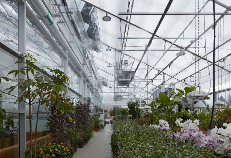 Press kit | 2275-04 - Press release | Metamorphosis of the Montréal Insectarium - Kuehn Malvezzi + Pelletier de Fontenay + Jodoin Lamarre Pratte architectes - Institutional Architecture - <p class="">Metamorphosis of the Montréal Insectarium — Greenhouse for plant production</p> - Photo credit: James Brittain — Kuehn Malvezzi / Pelletier de Fontenay / Jodoin Lamarre Pratte architectes in consortium