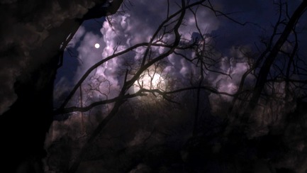 Press kit | 1046-01 - Press release | The End of Time by Peter Mettler opens the 15th RIDM on Wednesday - Rencontres Internationales du documentaire de Montréal (RIDM) - Event + Exhibition - Courtoisie de Grimthorpe Film.&nbsp;