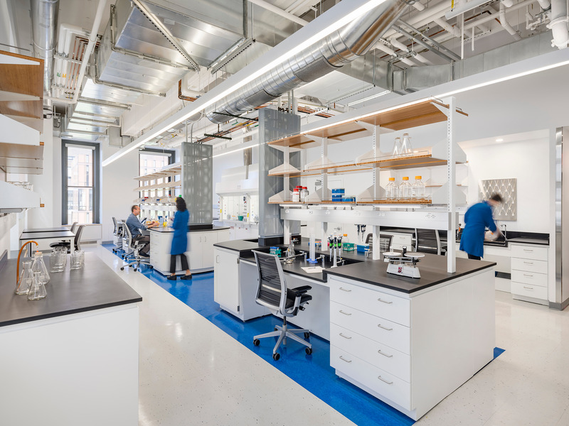 Dossier de presse | 5881-03 - Communiqué de presse | Research Labs at Columbia University - Shakespeare Gordon Studio - Architecture institutionnelle - Chemistry Lab - Crédit photo : Alexander Severin