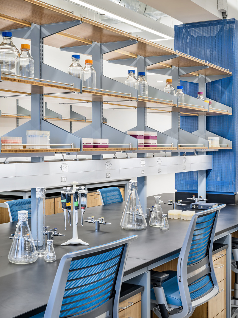 Dossier de presse | 5881-03 - Communiqué de presse | Research Labs at Columbia University - Shakespeare Gordon Studio - Architecture institutionnelle - Biochemistry Lab - Crédit photo : Alexander Severin