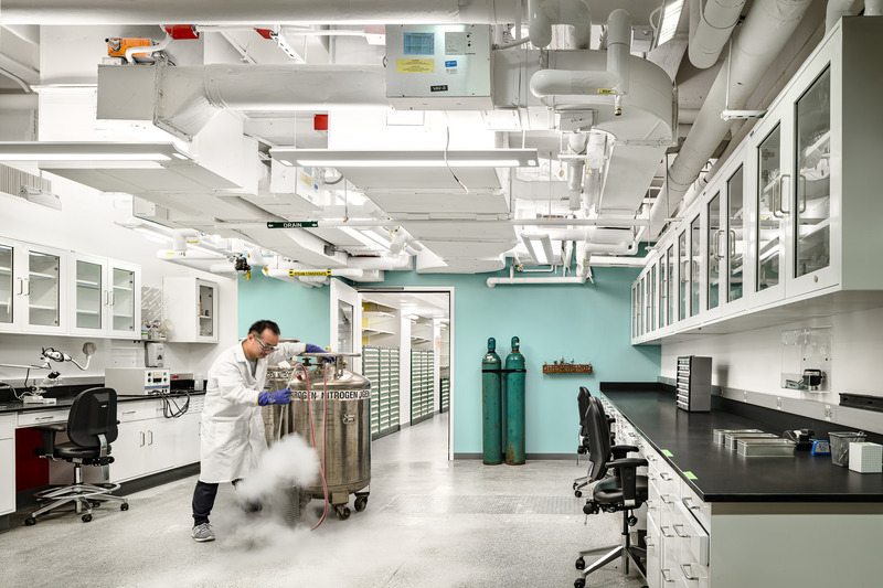 Dossier de presse | 5881-03 - Communiqué de presse | Research Labs at Columbia University - Shakespeare Gordon Studio - Architecture institutionnelle - Physics Lab - Crédit photo : Alexander Severin