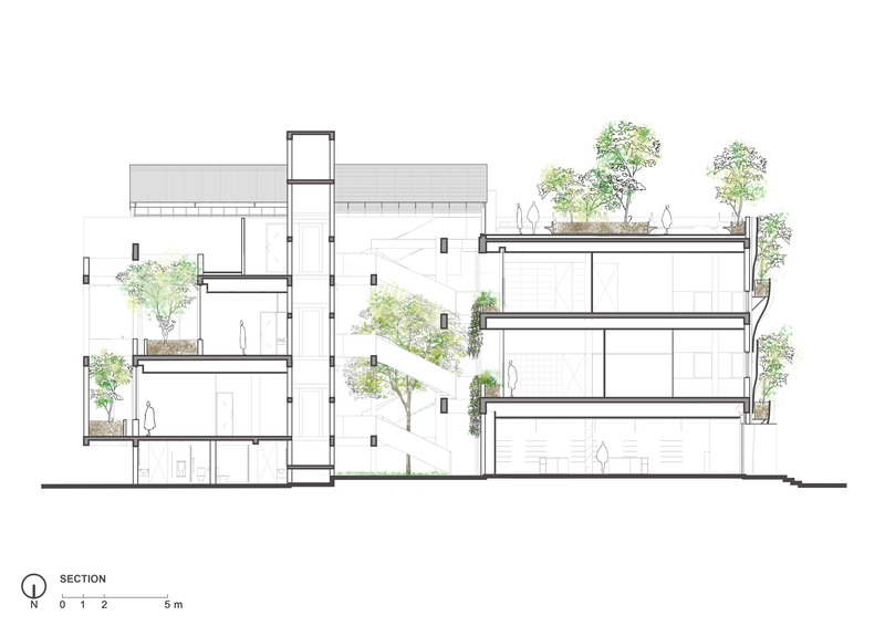 Dossier de presse | 7017-01 - Communiqué de presse | Thavi Cosmetic Showroom - SAVA - Architecture commerciale - Section - proposed greenery and natural light from front, top, and back of building. - Crédit photo : SAVA